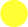 yellow circle icon